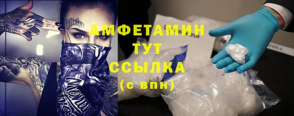 прущий лед Алзамай