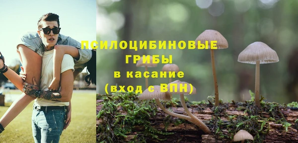 прущий лед Алзамай