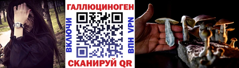 Псилоцибиновые грибы мицелий Родники